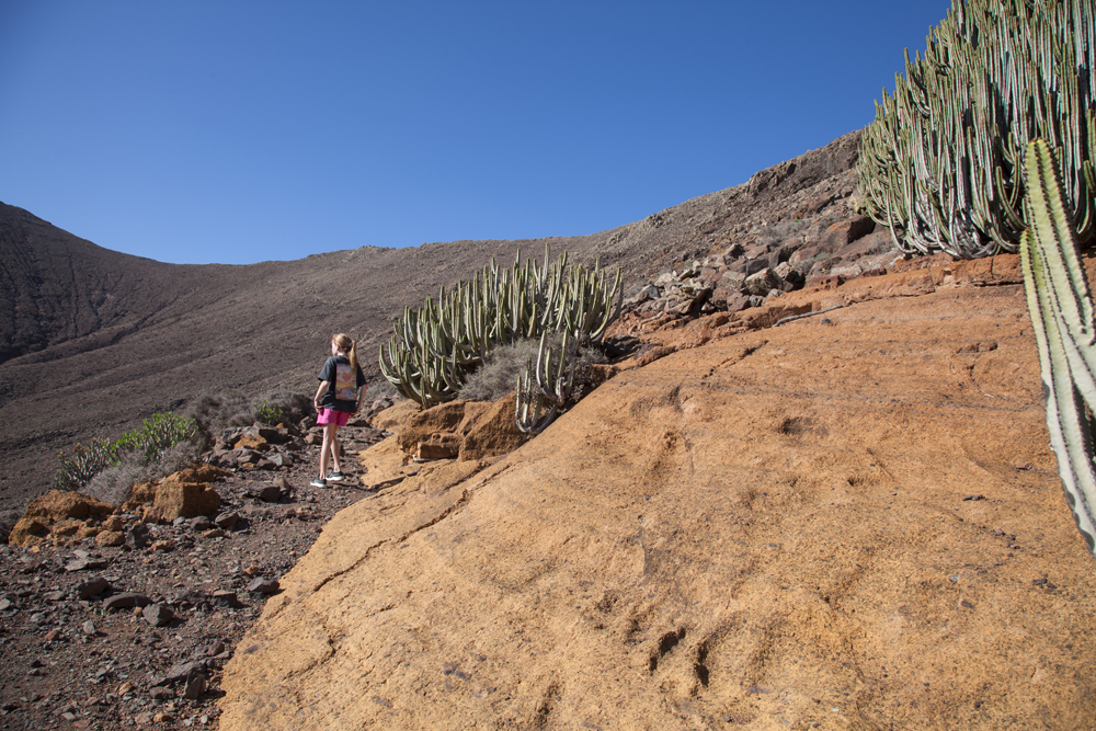 Fuerteventura Canary Islands 